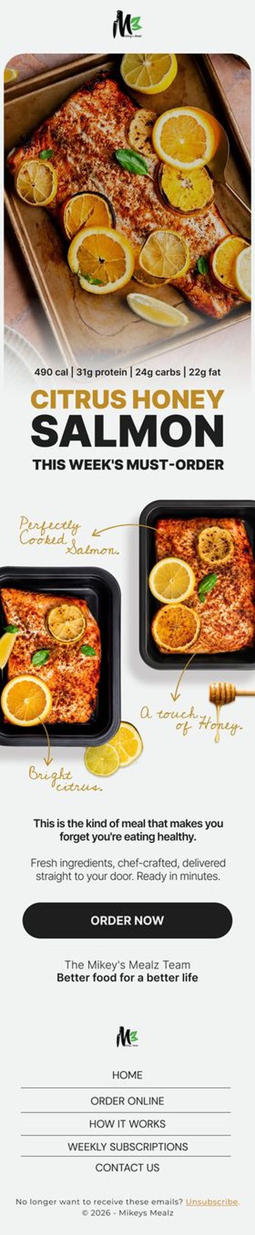 Mikey's Mealz — Salmon