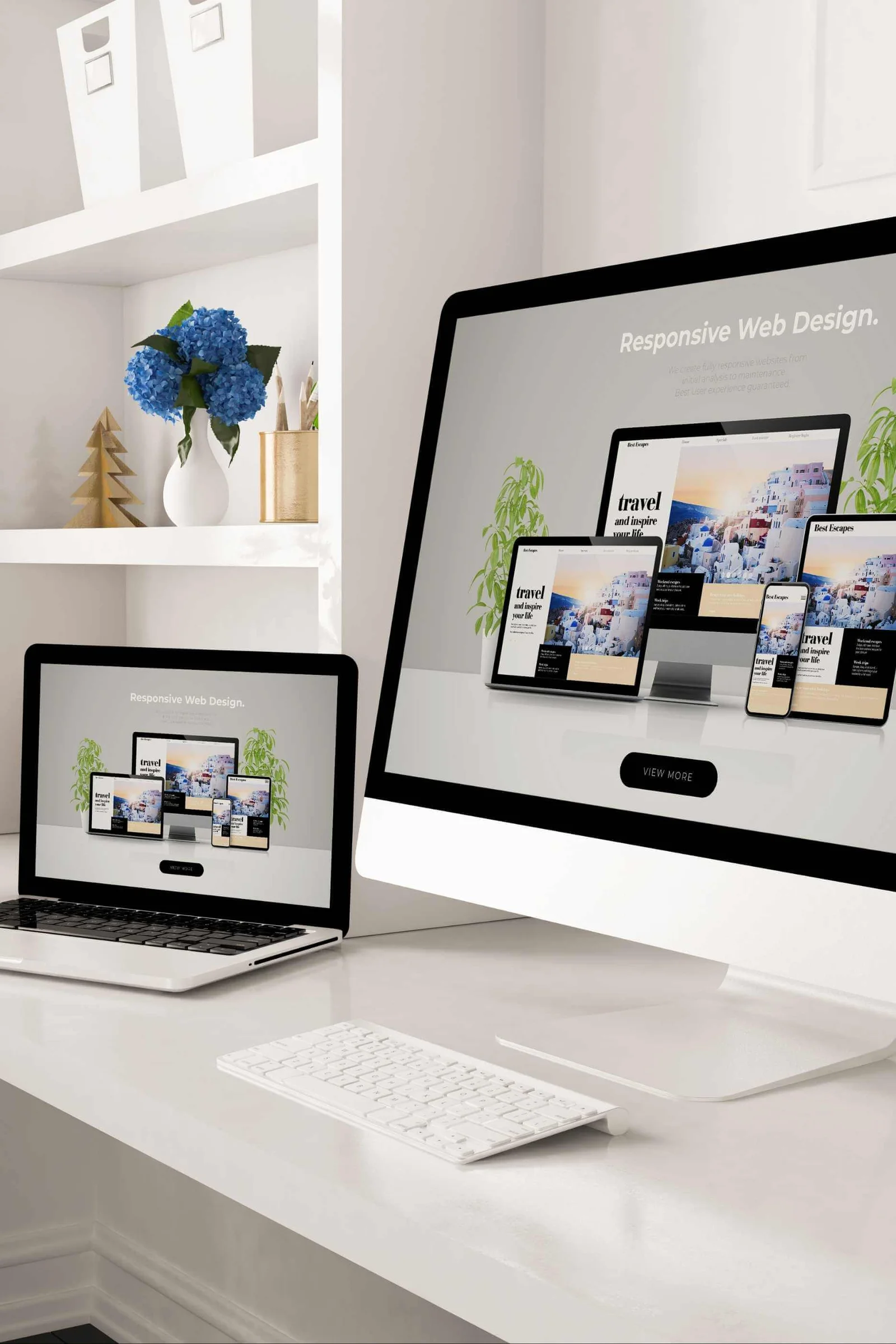Web Developer